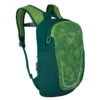 Osprey Kinderen Daylite Rugzak -Openlucht Tas Winkel iview 5037959 002 pic1